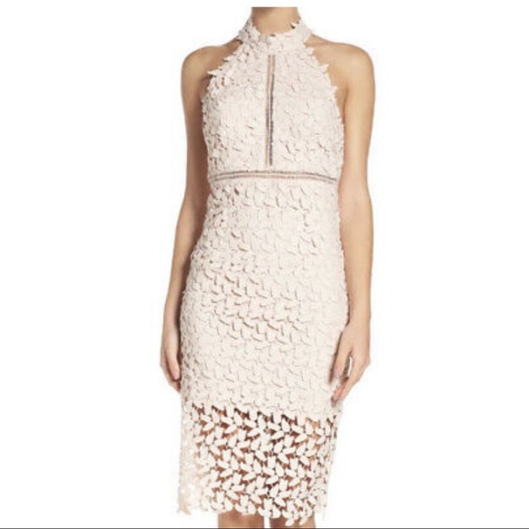 Bardot Halter Light Pink Lace Midi Dress - Picture 6 of 10